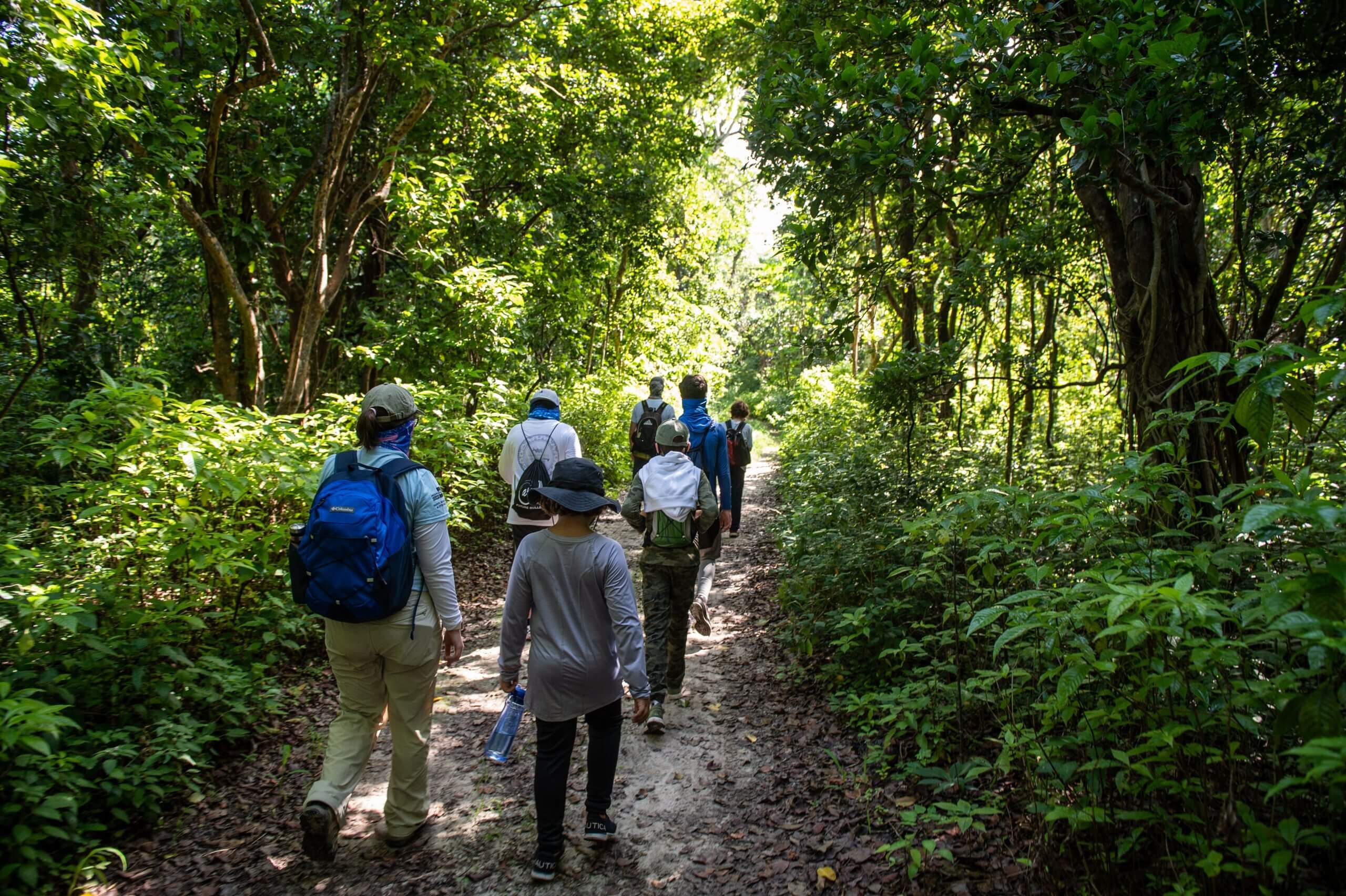 Small group of campers hiking through the tropical hardwood hammocks with Deering's conservation & learning team
