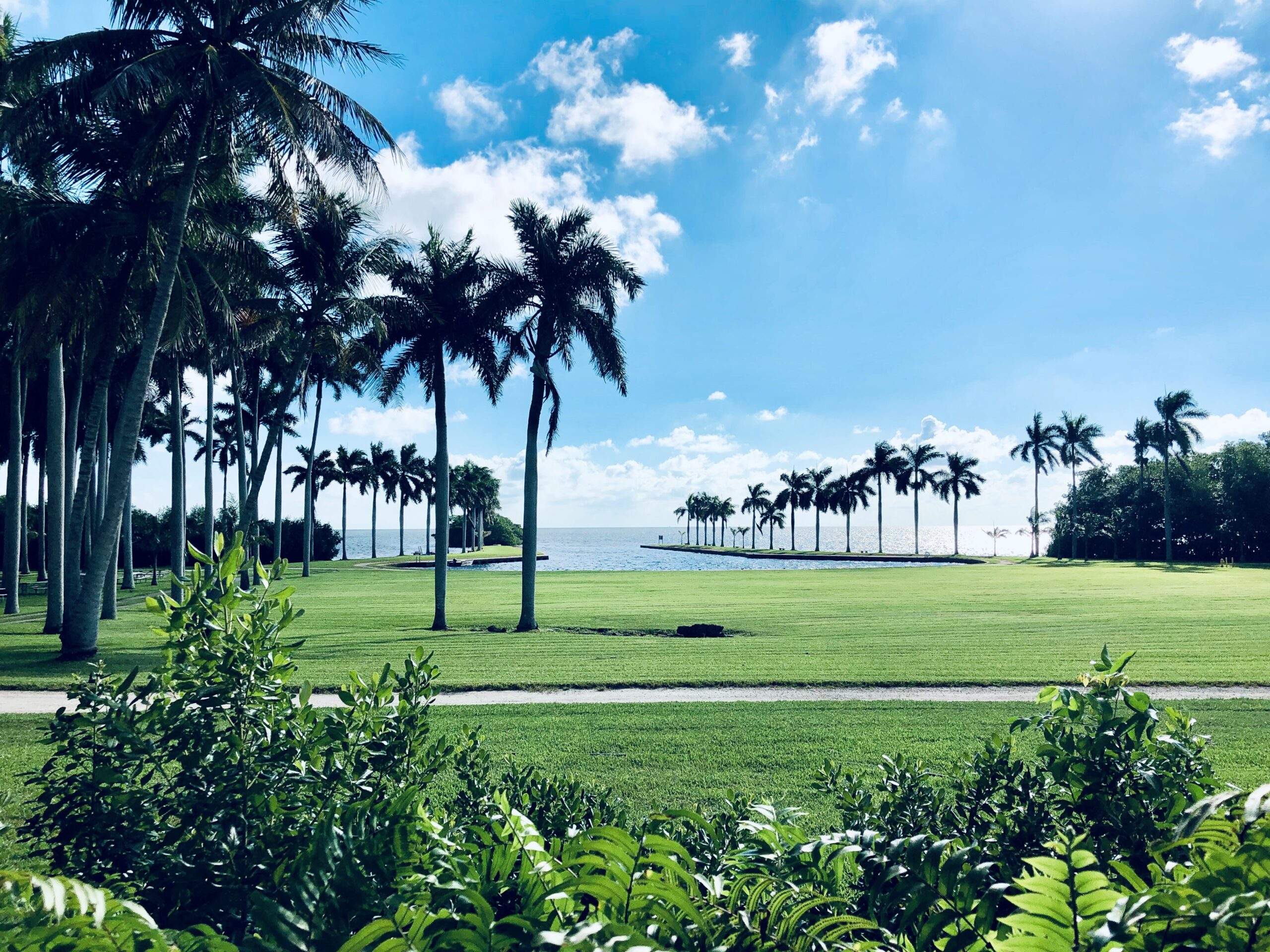 A view of the main lawn, palm trees, and Biscayne Bay on a quiet serene day.