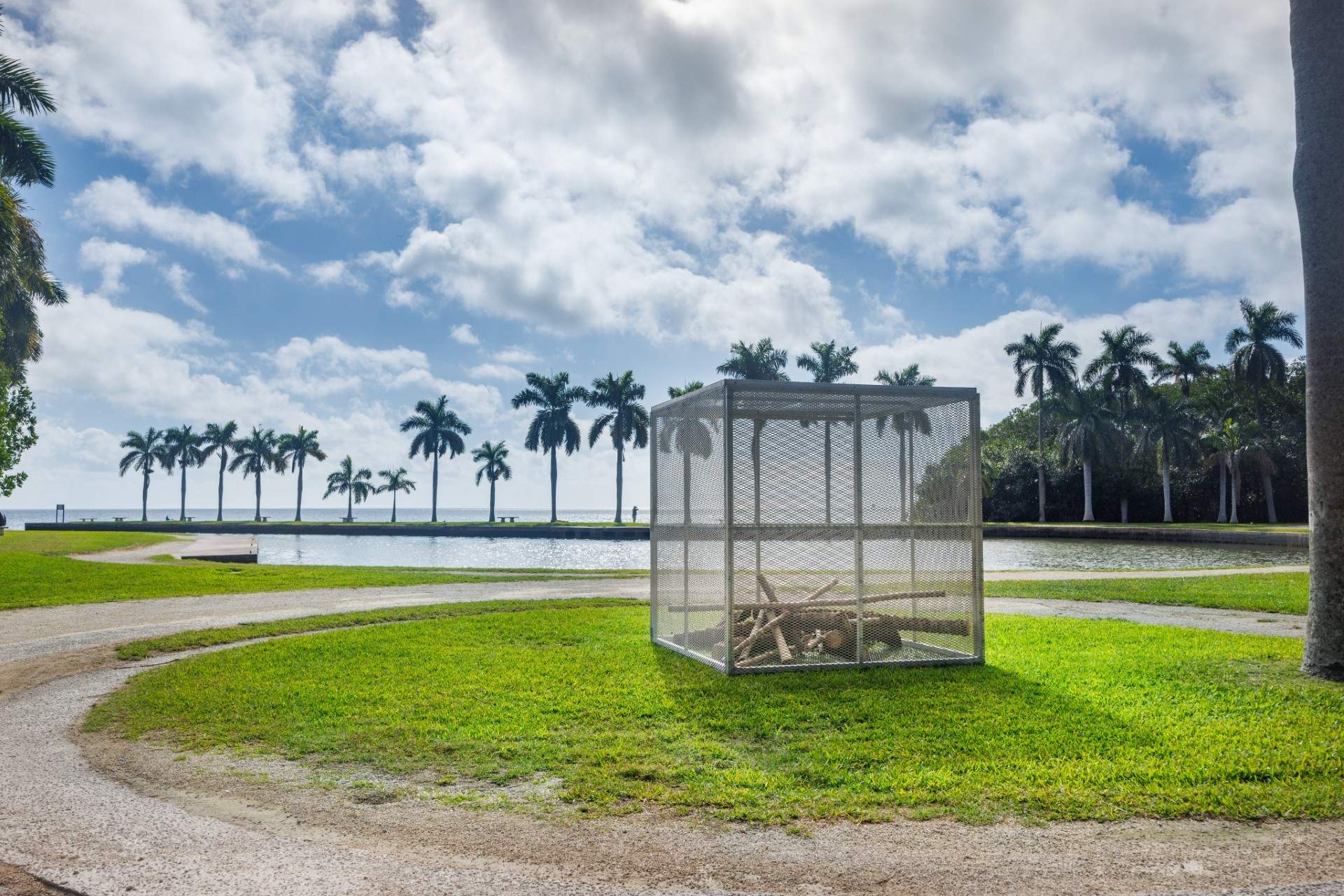 An art installation by artist Robert Chambers titled "Filtered Flora." The piece is a large metal cube that acts as a cage and within it contains several tree logs and branches. The piece sits in front of the Deering Estate boat basin.