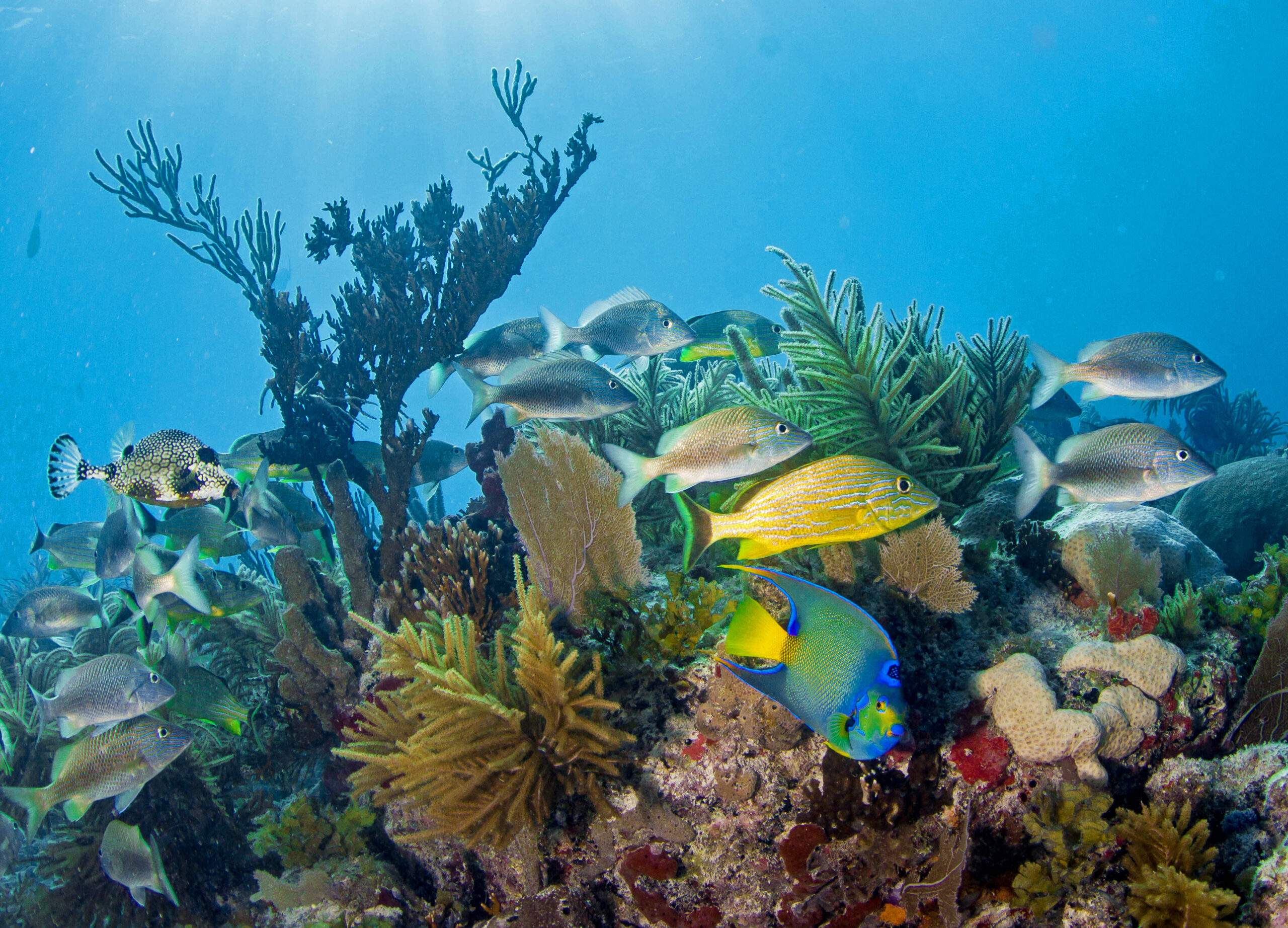 ocean image near Deering Estate in Miami FL