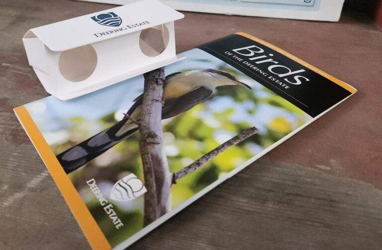 A pair of Deering Estate pocket cardboard binoculars next to a Deering Estate bird guide on a counter.