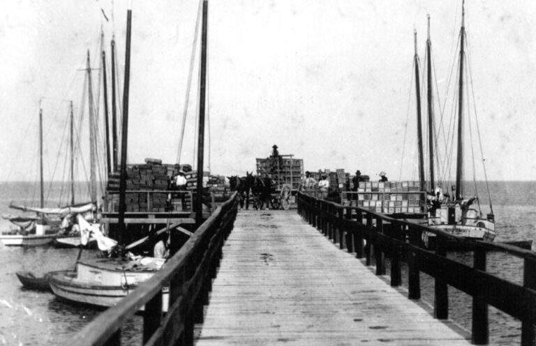 The Cutler dock, filled with commercial boats during the late 1800s.