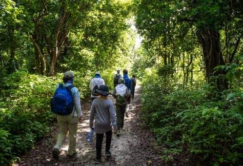 Small group of campers hiking through the tropical hardwood hammocks with Deering's conservation & learning team