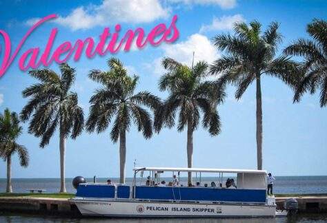 A photo of the Pelican Island Skipper with text above that reads "Valentine's."