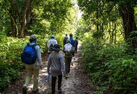 Campers and counselors on a nature hike.