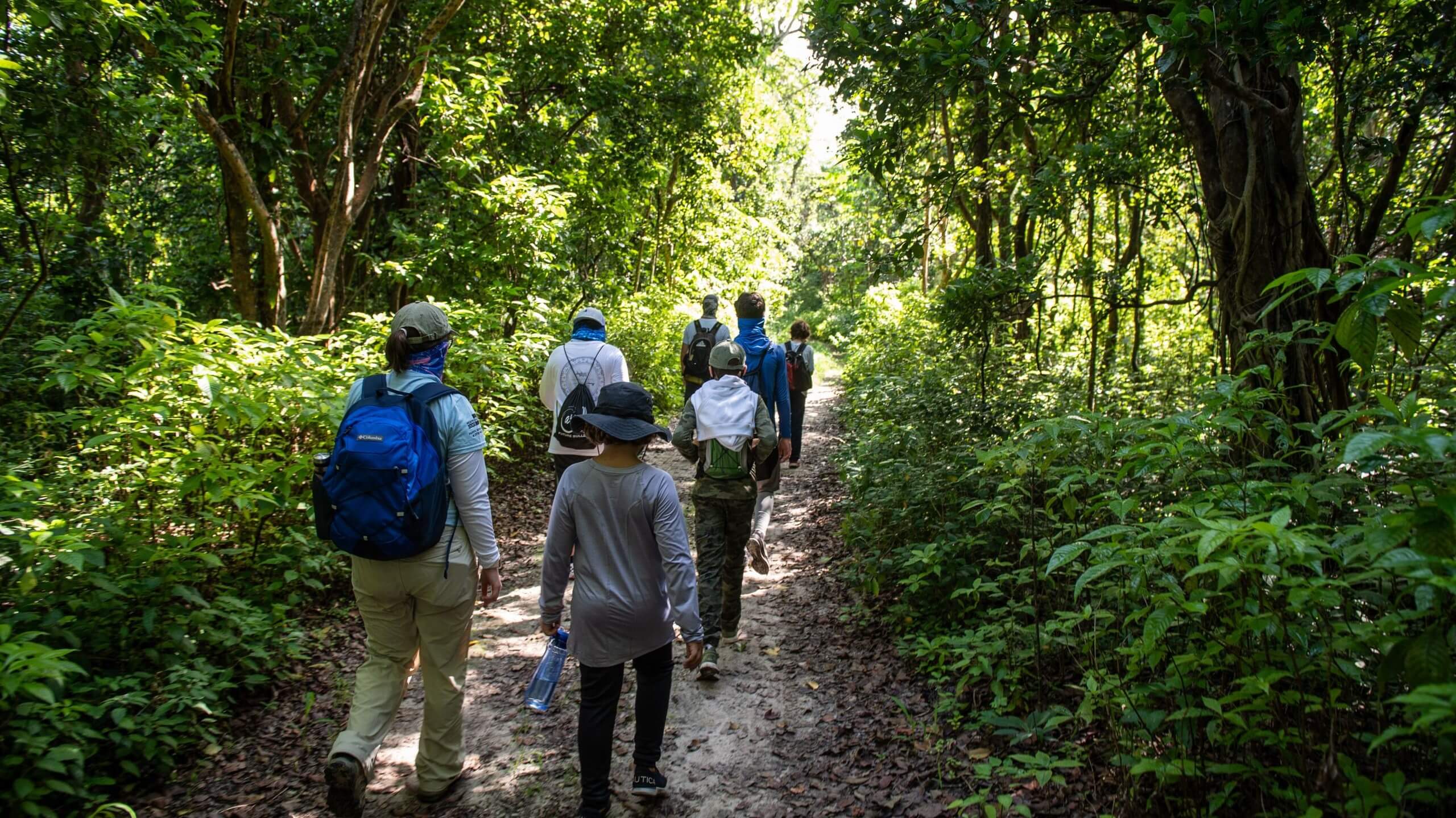 Campers and counselors on a nature hike.