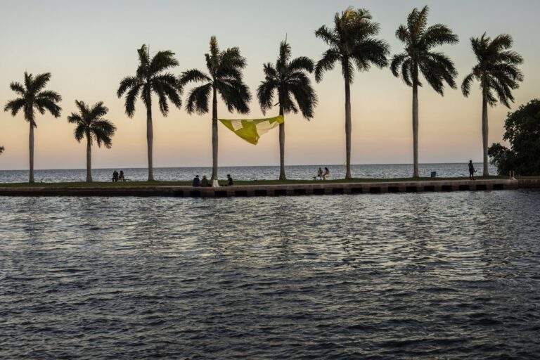 Breeze flowing through the boat basin during sunset