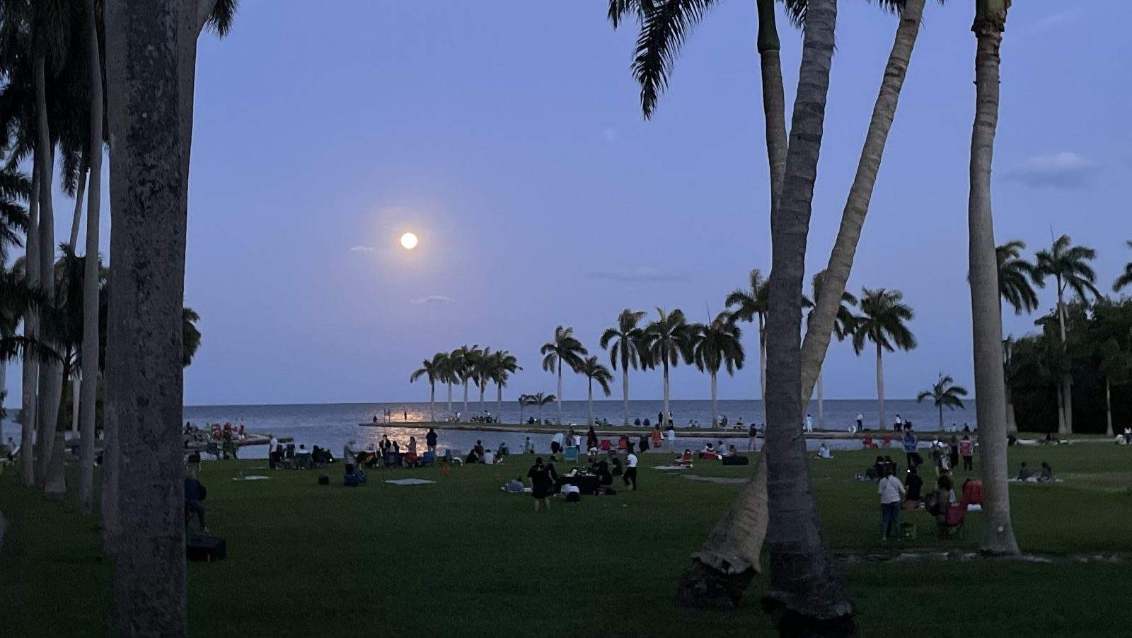 A large gathering of people having picnics at night on the Deering Estate front lawn overlooking Biscayne Bay and the full moon.