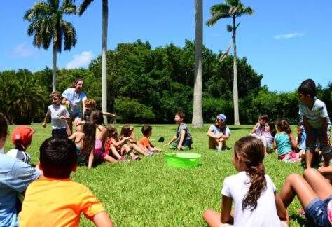 A group of campers and camp counselors play a game in the Royal Palm Grove of Deering Estate.