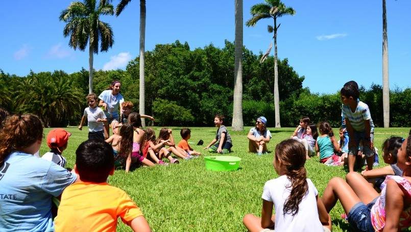 A group of campers and camp counselors play a game in the Royal Palm Grove of Deering Estate.