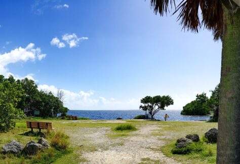 A view of Biscayne Bay from Deering Point.