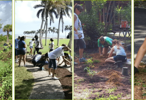 Four images split to show various volunteers at Deering Estate participating in tree trimming, planting, and beautification projects of the park.