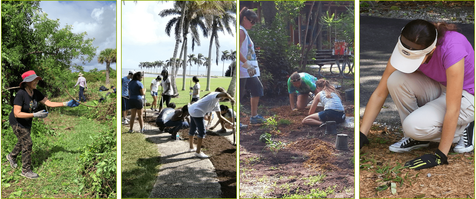 Four images split to show various volunteers at Deering Estate participating in tree trimming, planting, and beautification projects of the park.