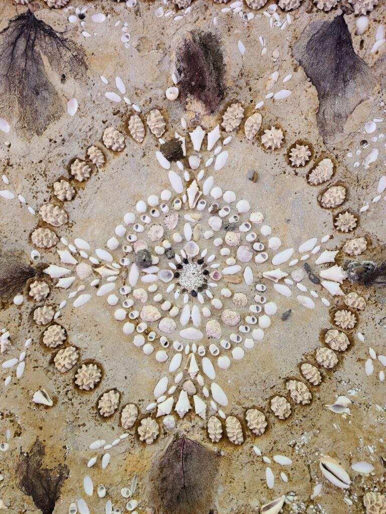 Beautifully detailed seashell mosaic on the ceiling of the Stone House walkway.