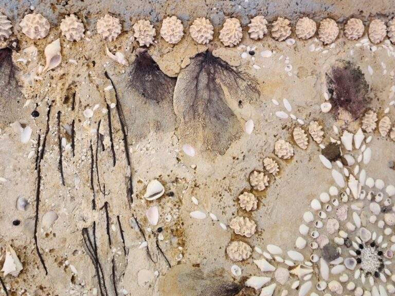 Beautifully detailed seashell mosaic on the ceiling of the Stone House walkway.