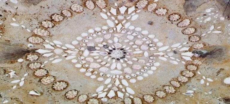 Beautifully detailed seashell mosaic on the ceiling of the Stone House walkway.